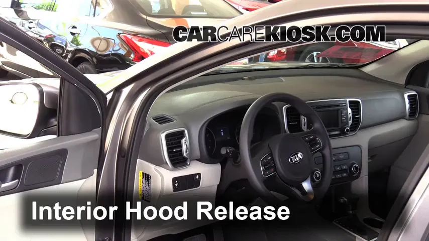 2017 Kia Sportage LX 2.4L 4 Cyl. Hood
